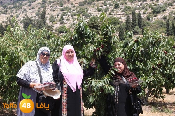 bayareq re7la shamal 0612 (68).JPG